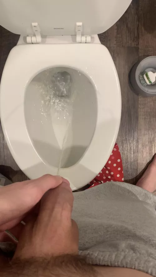 Making a piss gc dm if interested