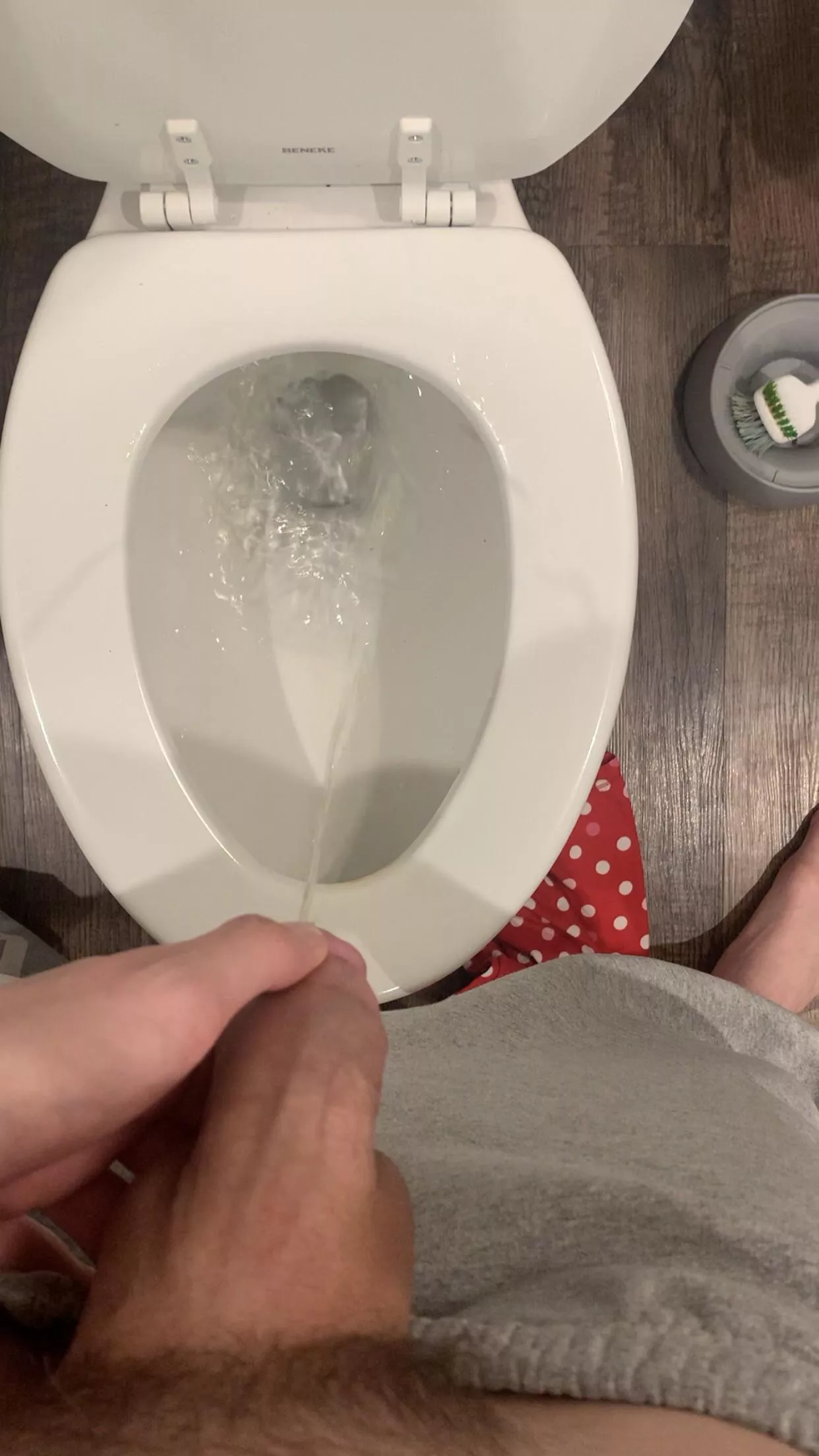 Making a piss gc dm if interested