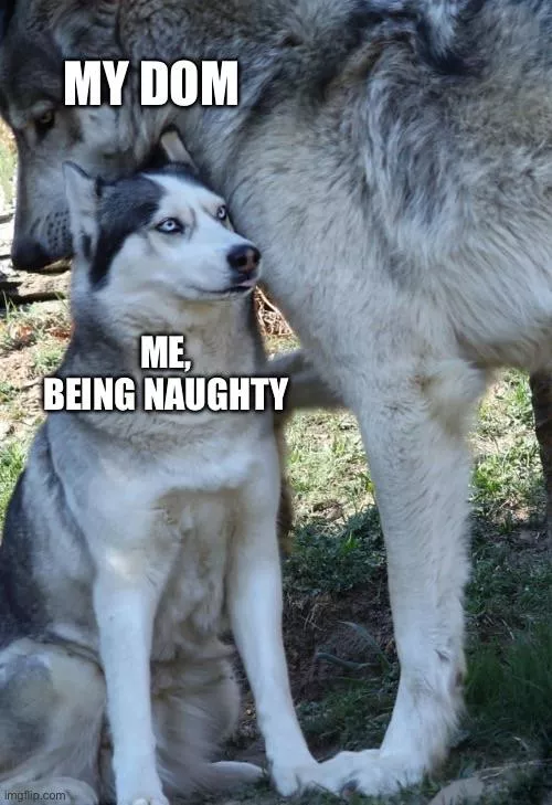 Puppy Sub vs Wolf Dom