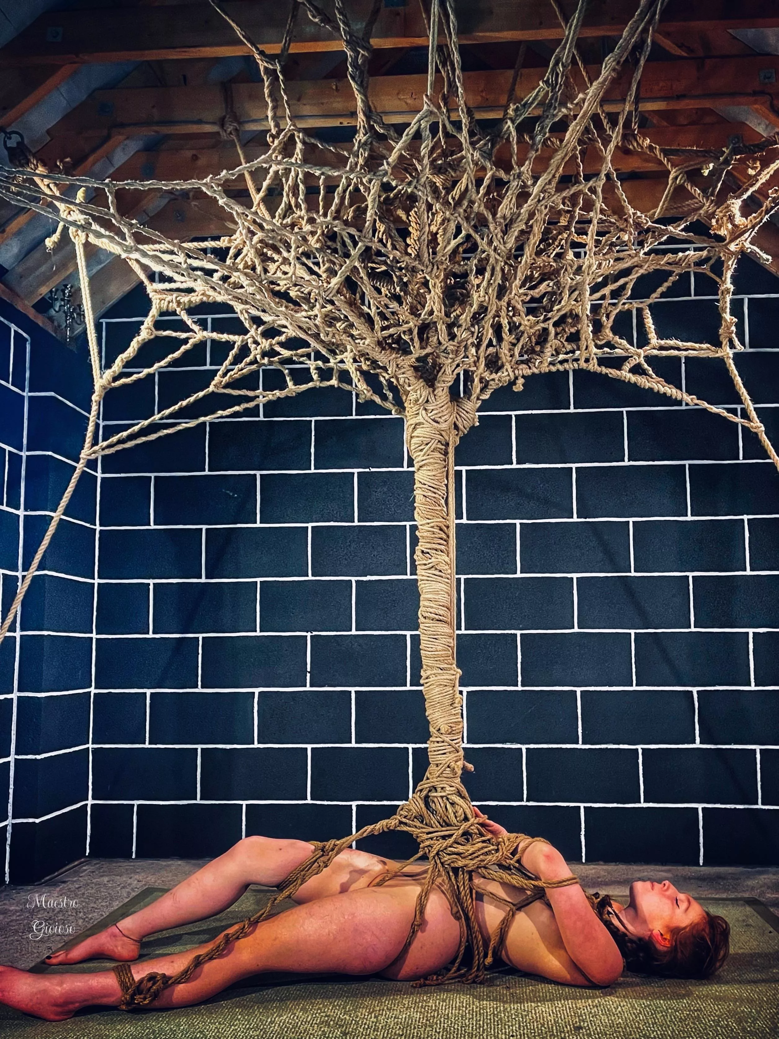 The Tree of Life (OC)