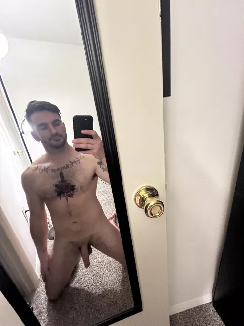 What’s for dinner tonight? [m]