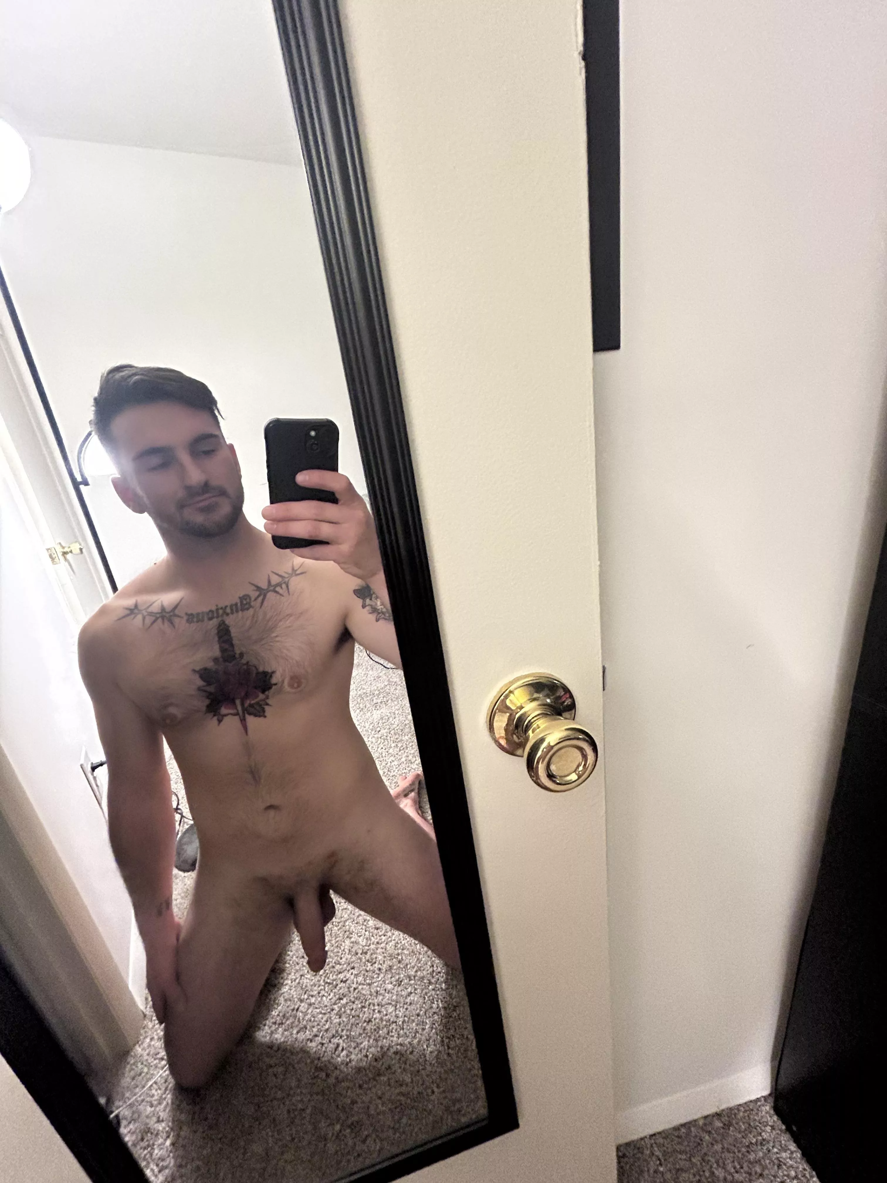 What’s for dinner tonight? [m]