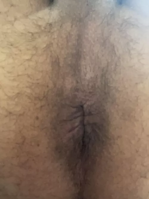 Who wants to fuck my ass?