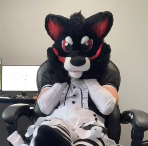 Why must my pawbs be so soft?