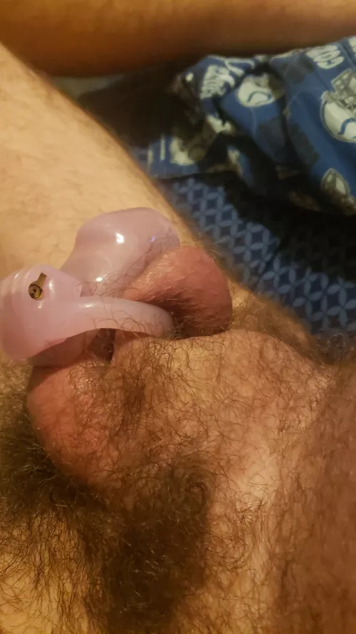 Wish i could afford a bigger cage 😫