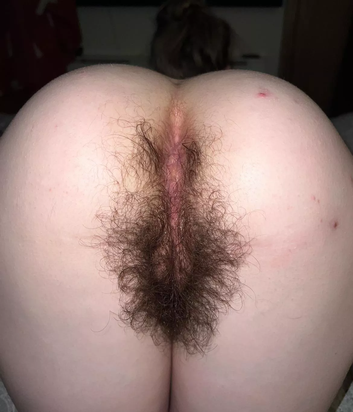 Would you eat my [h]airy hole after a first date?