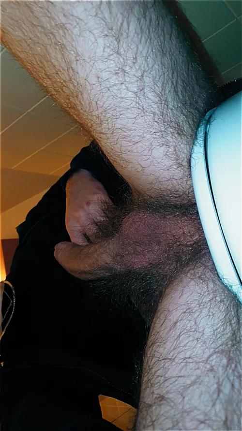 Would you give me head on the uni toilet?