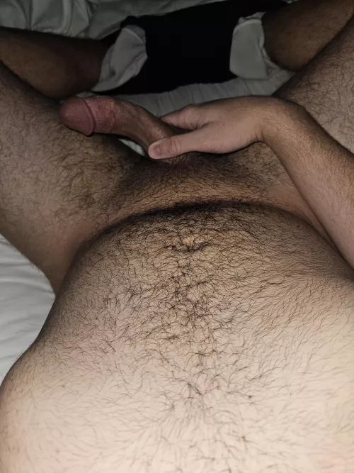 (19) Midnight cub cock