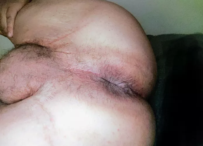 (29) Chicago bottom Latino, cum breed me