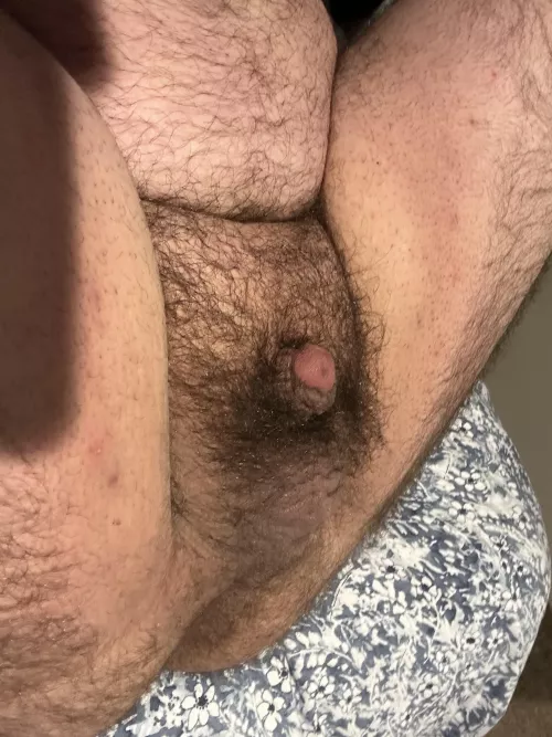 DMs are open, tell me what you think.