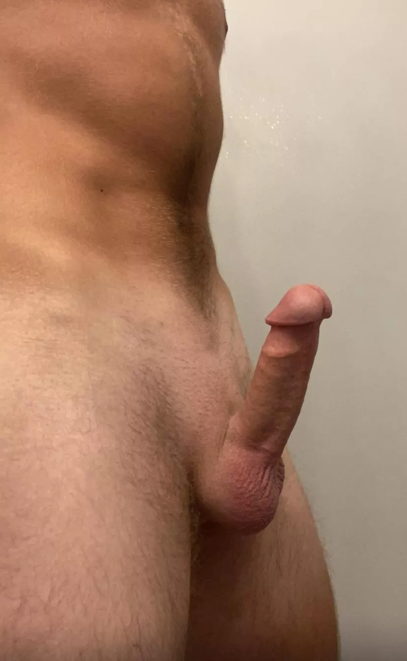 Felt like showing off my cock