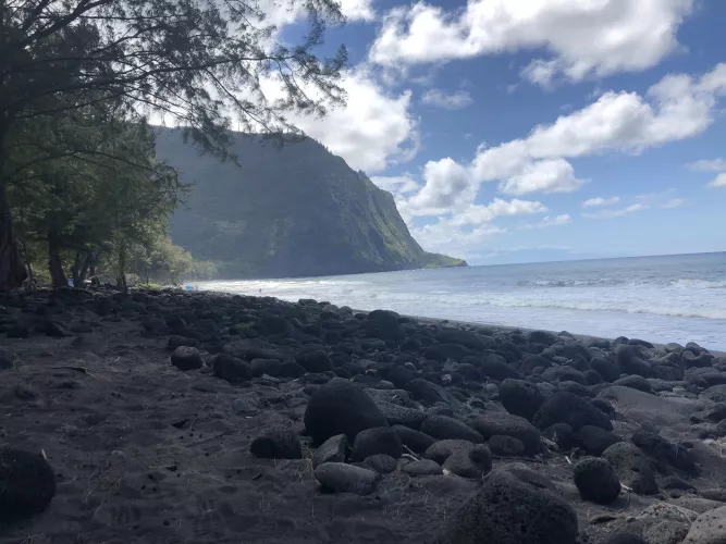 I need to go back to the big island soon