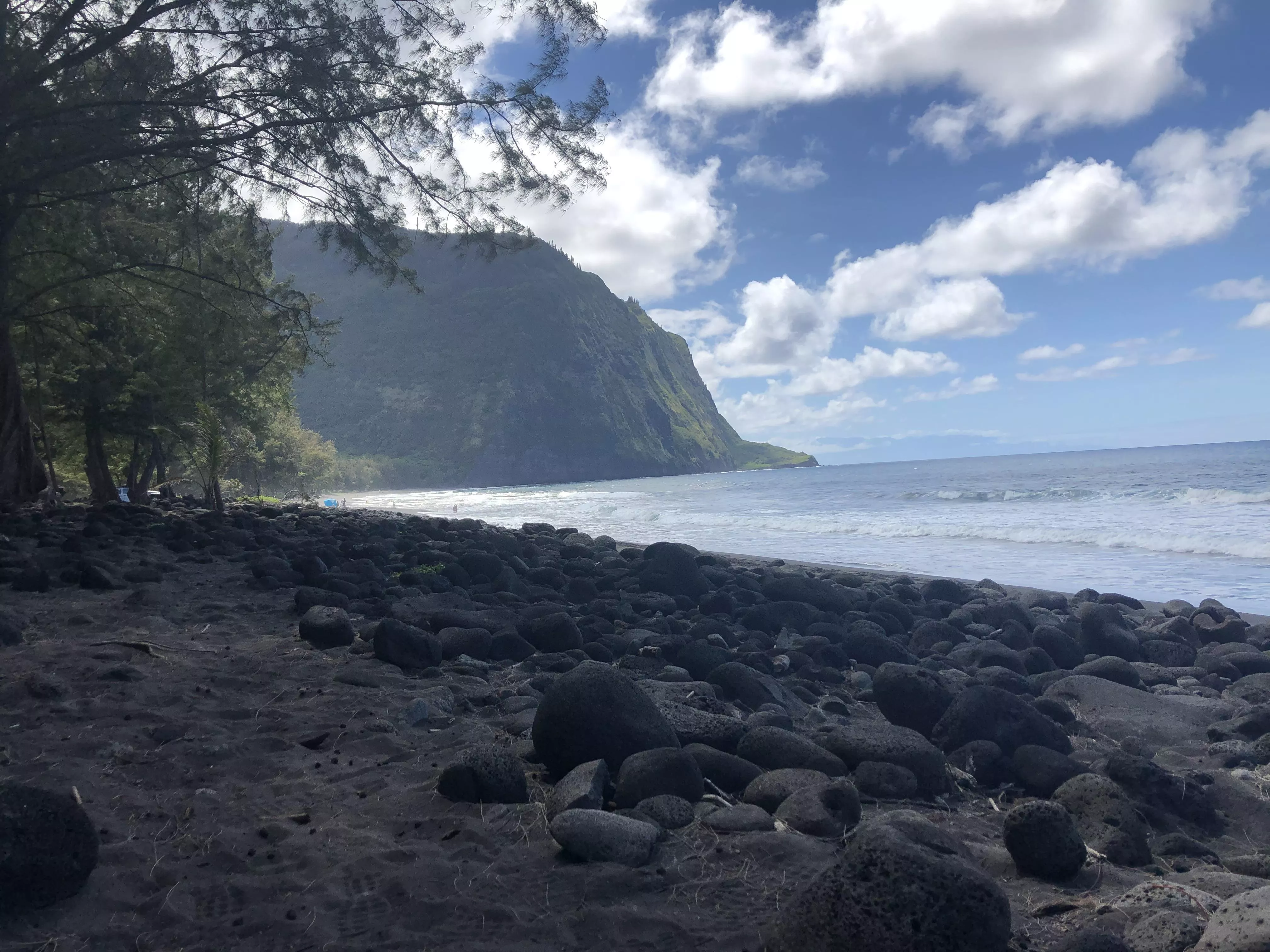 I need to go back to the big island soon