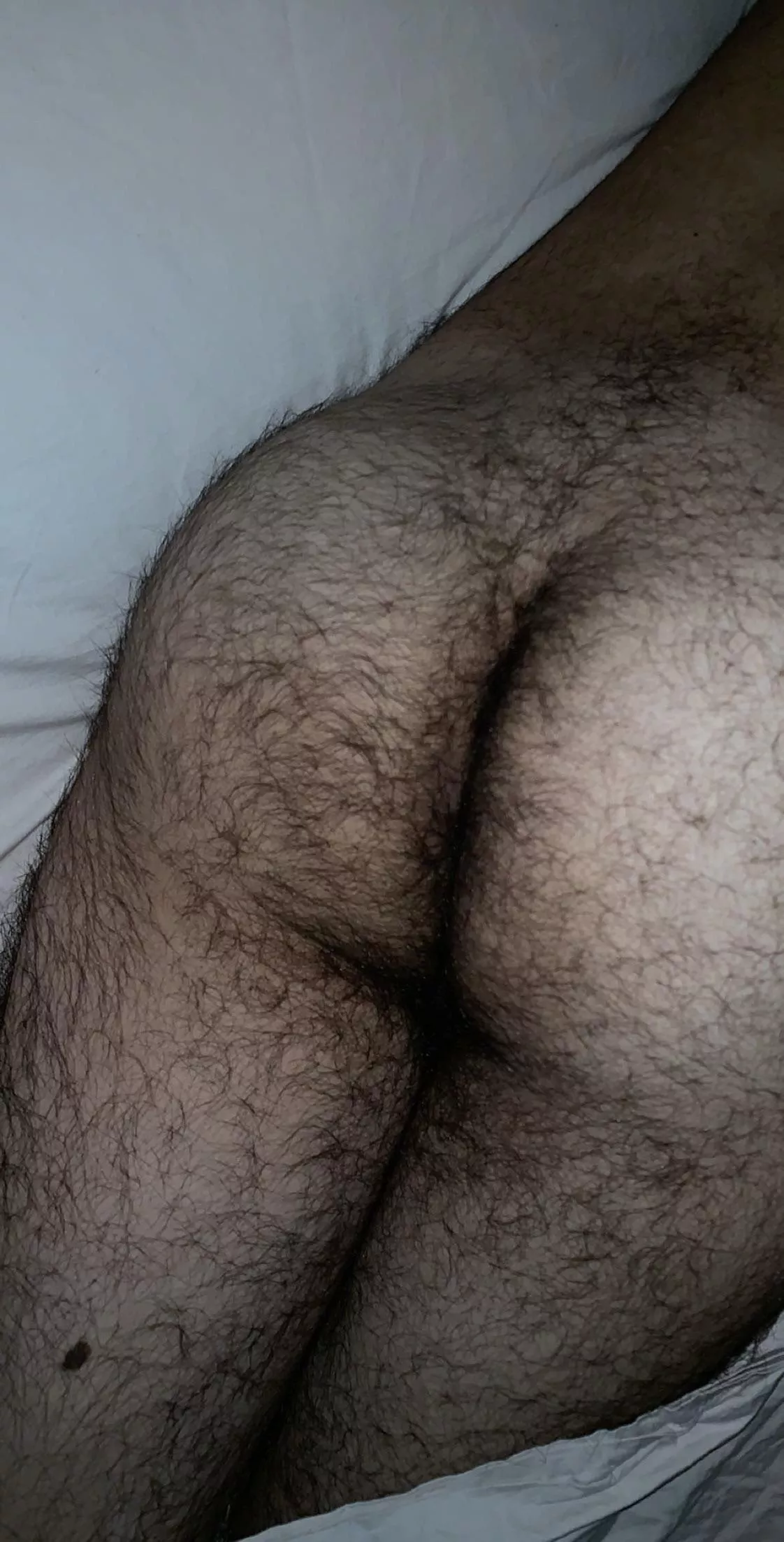 Is my ass hairy enough?