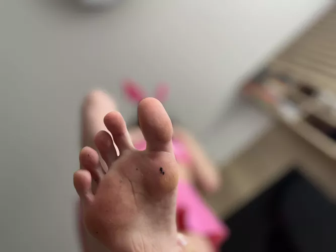 is this a good enough view for u