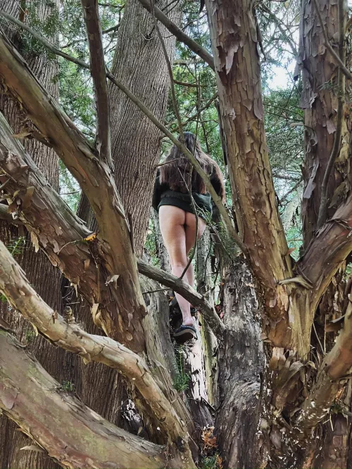 Just playing in the woods