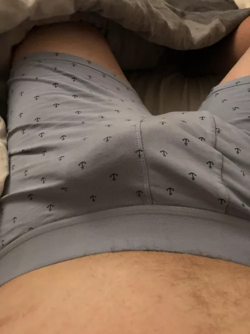 M29 from Belgium , if you like my bulge come ask me my morning boner 😈