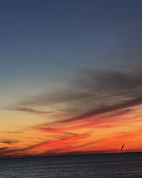 My backyard tonight. Never gets old.