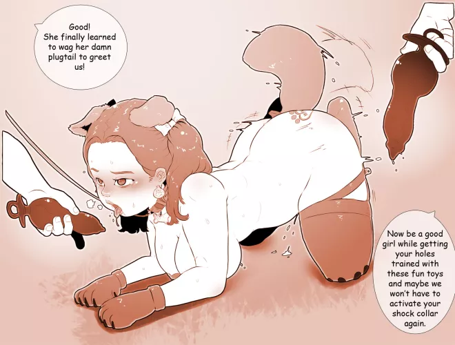 Shock collar training