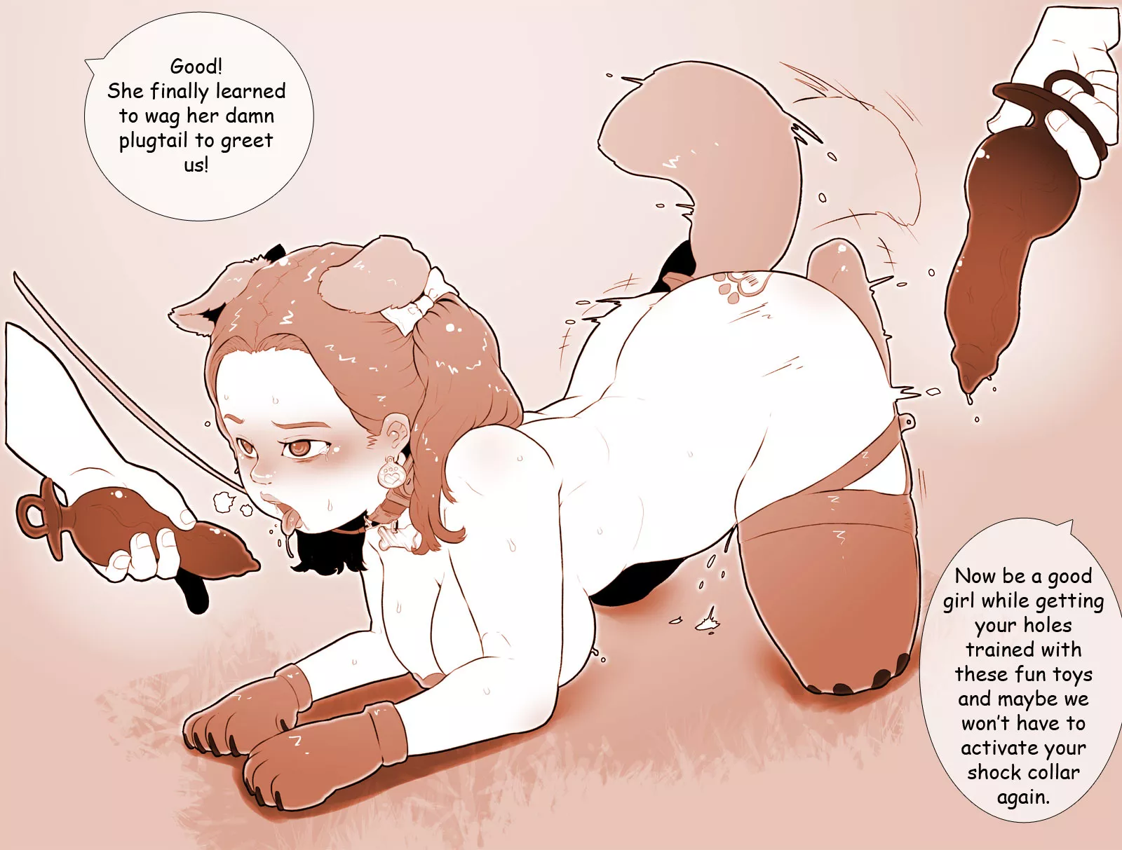 Shock collar training