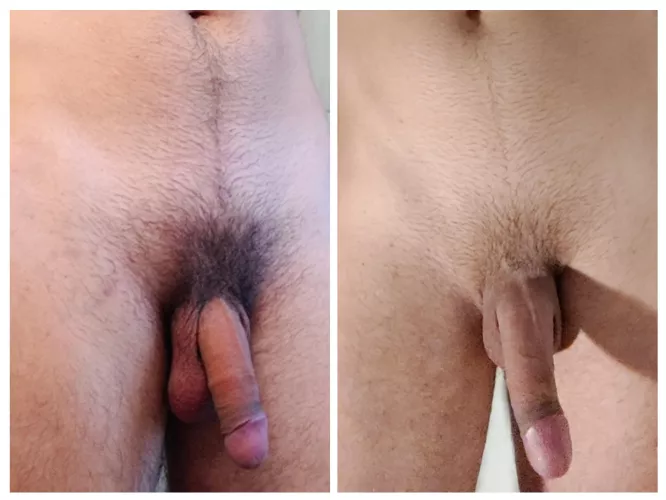 Should I keep or trim the bush?