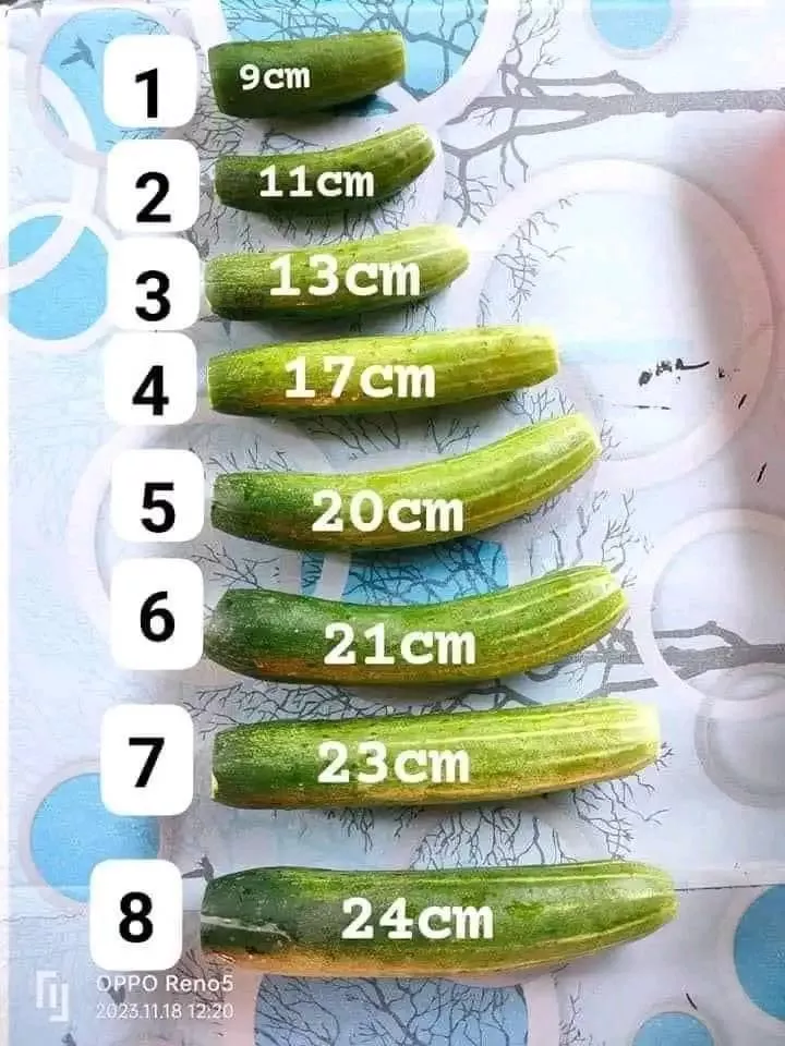 So where do yours fit my Gs, I'm between 6 and 7