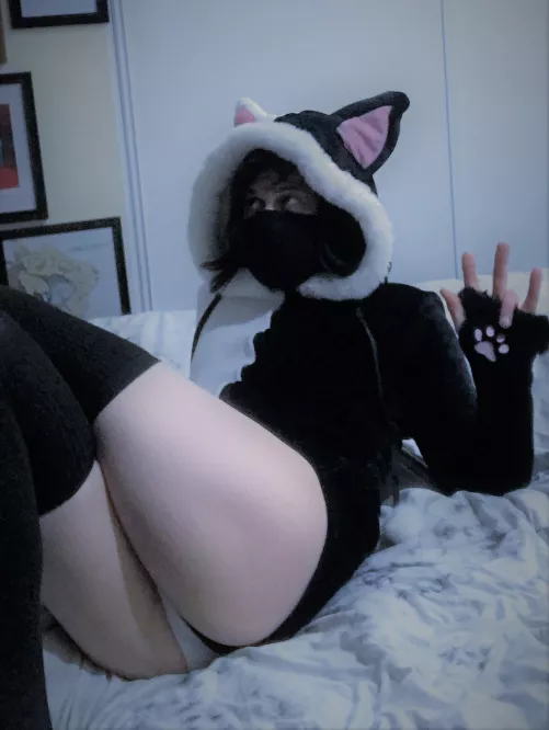 submissive kitty says hello :3
