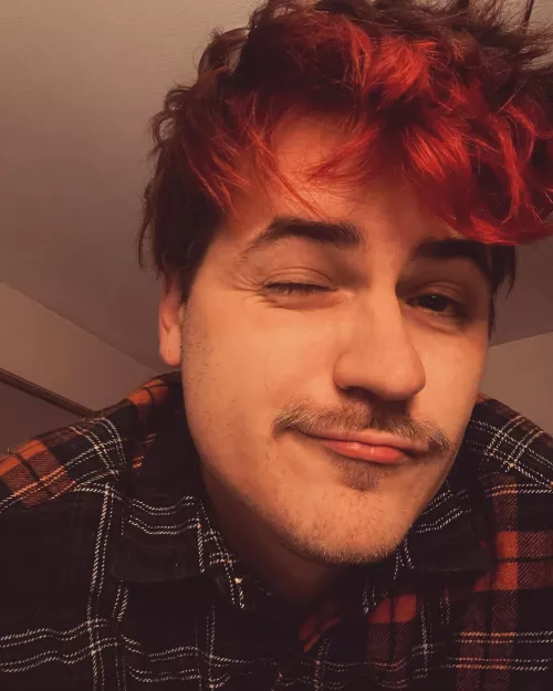 Think i might get back into cult of the lamb!