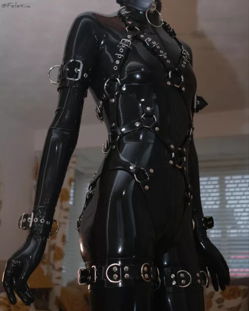 This harness makes me easier to grab...right?~