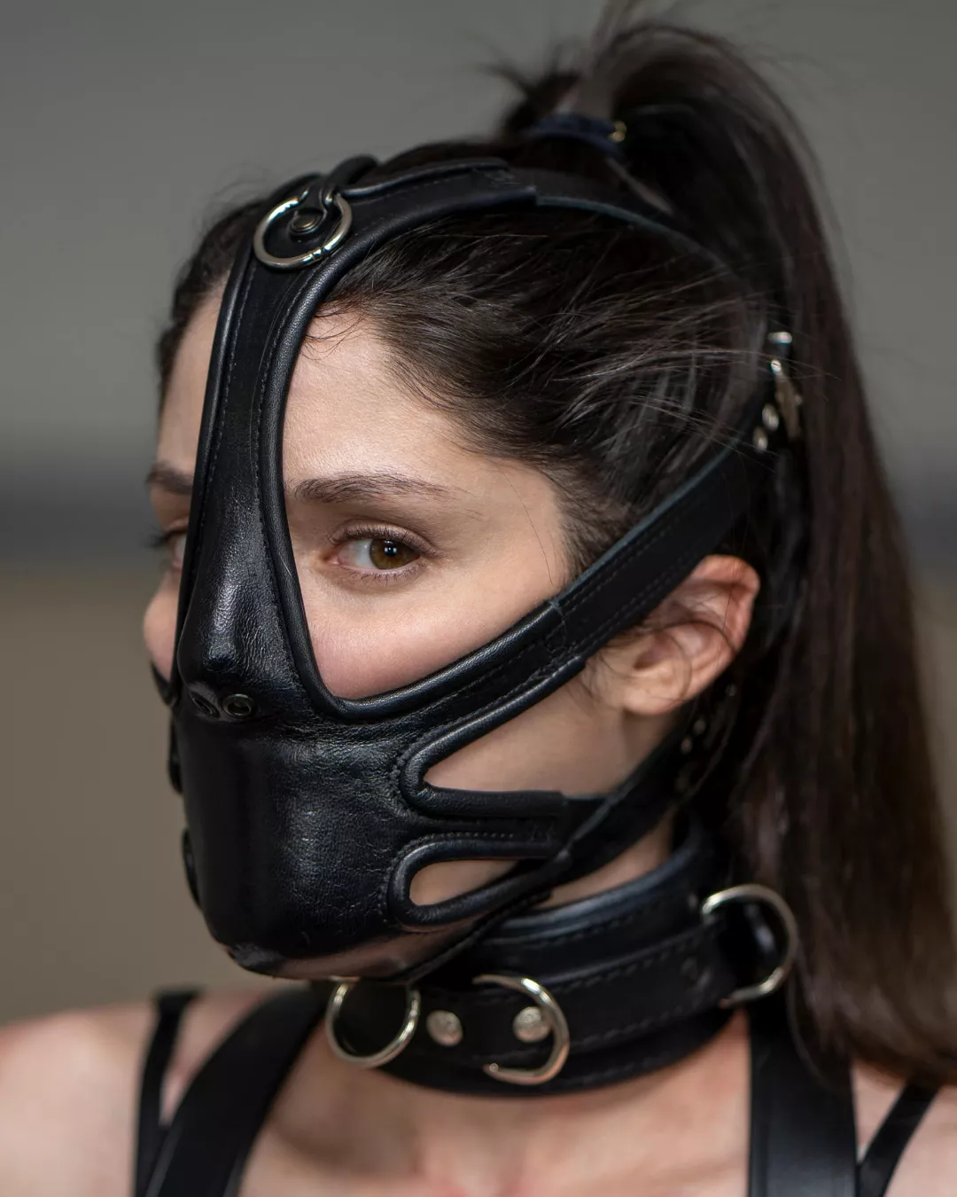 Where can I buy this?