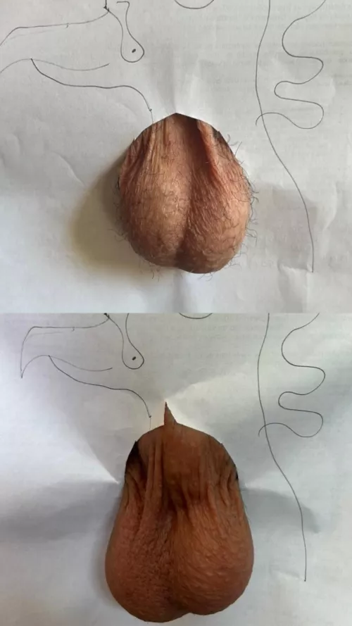 Which one is better?