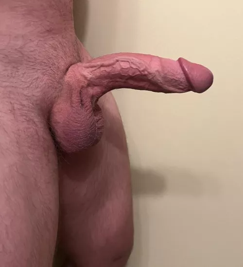 Wife doesn’t suck it, would you suck it?