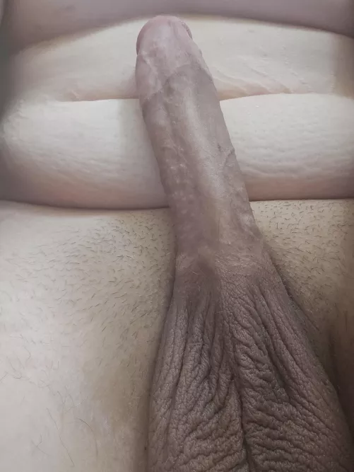 Would you ride it (dms open)