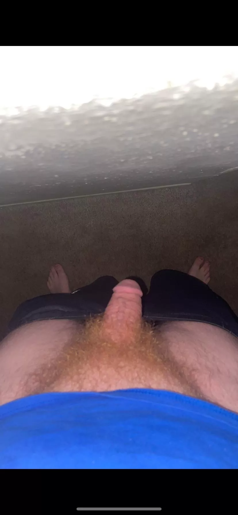 18, any hair gingers like me? I like seeing your pubes, message me