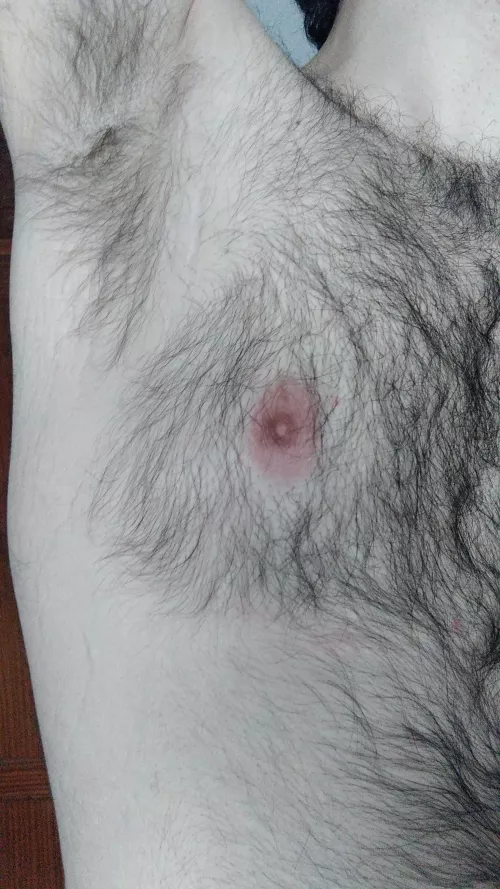 A pic I had in my gallery