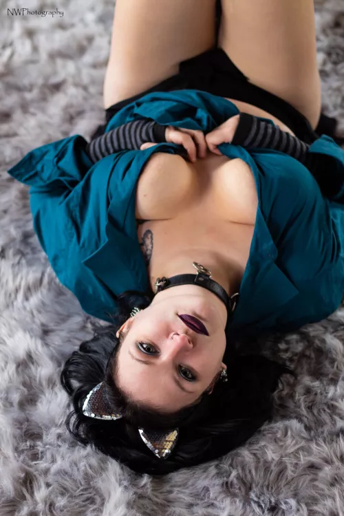 Busty collared pet waiting for her master