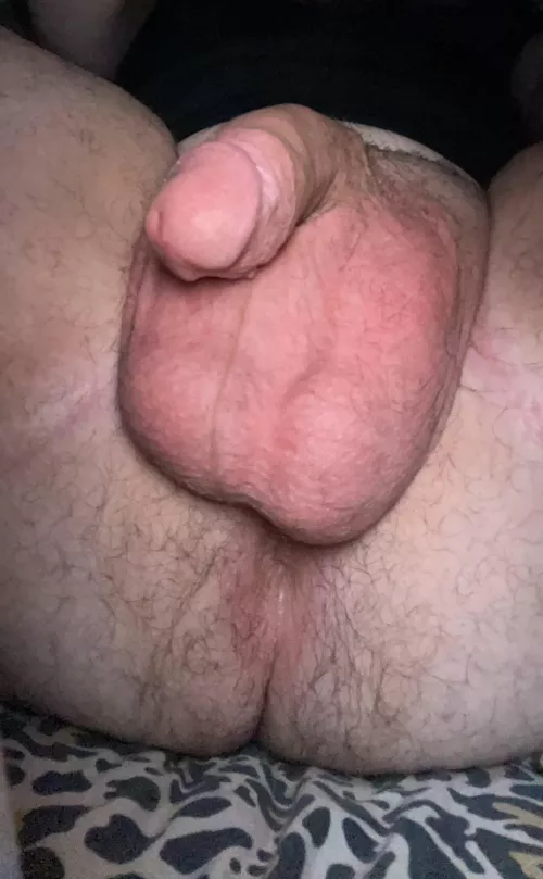 Come play with me (DMS open)