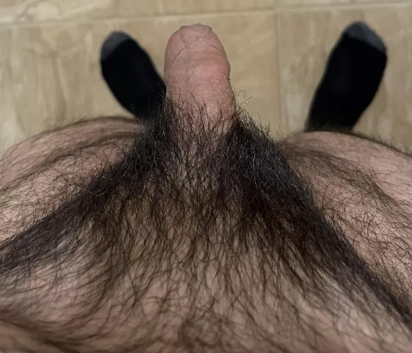 Do you like my trimmed pubes?