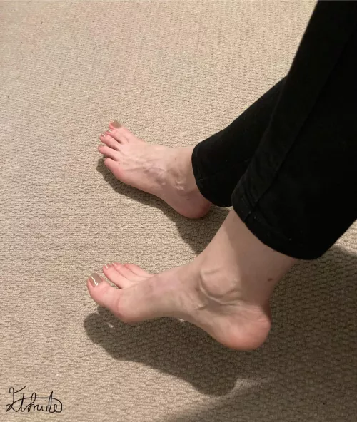 Early morning shadows