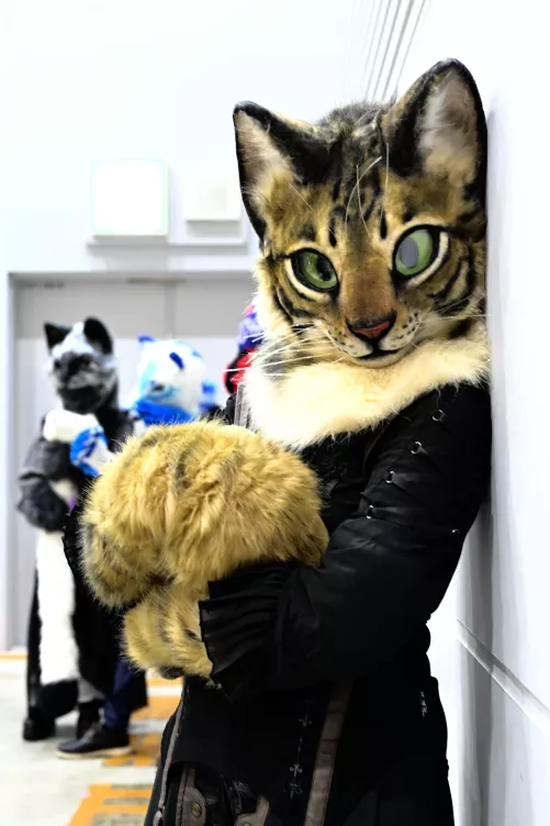 #FursuitFriday by @maycat05 on Twitter