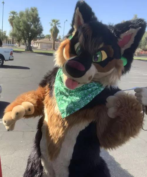 #fursuitfriday Doing a cute lil pose