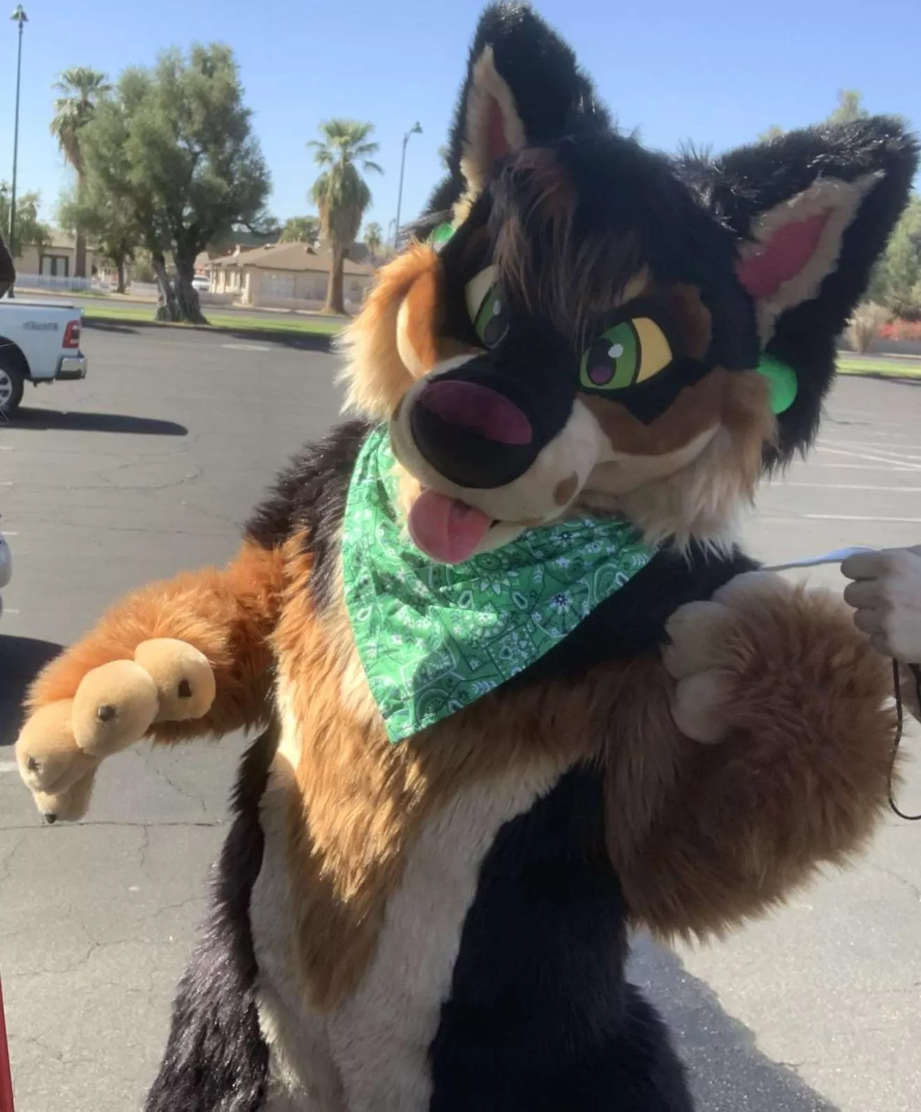 #fursuitfriday Doing a cute lil pose