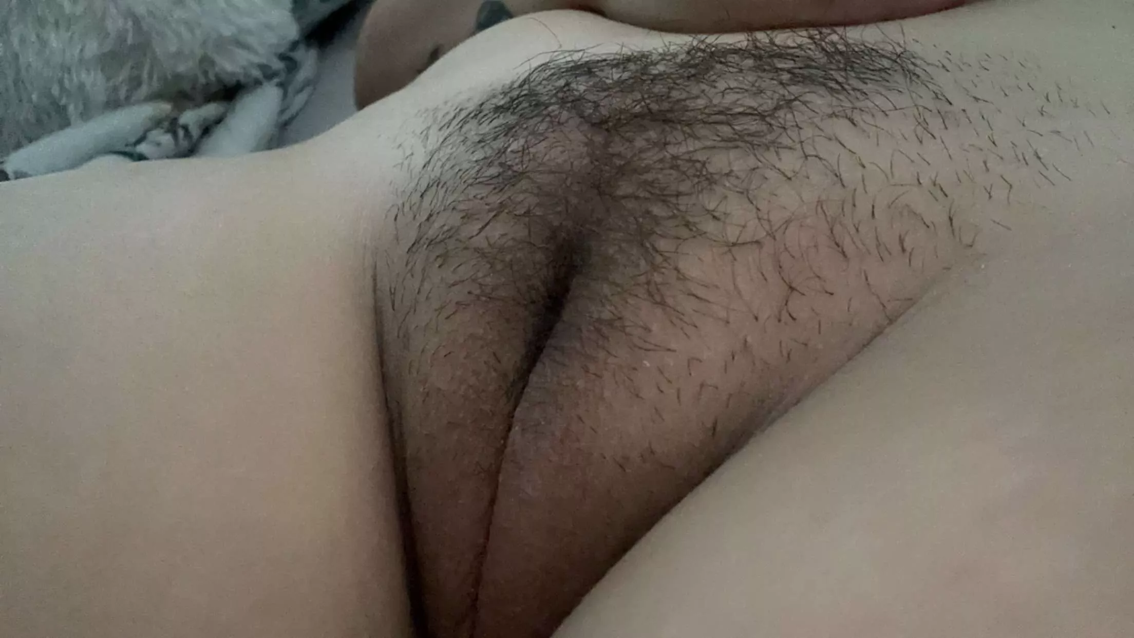 Hairy or shaved?