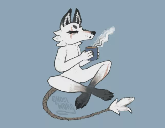 How do y'all come up with your fursona names? // artwork by me @ghostworg