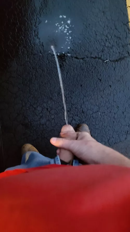 I love the famous painting by I. P. Freely Yellow River