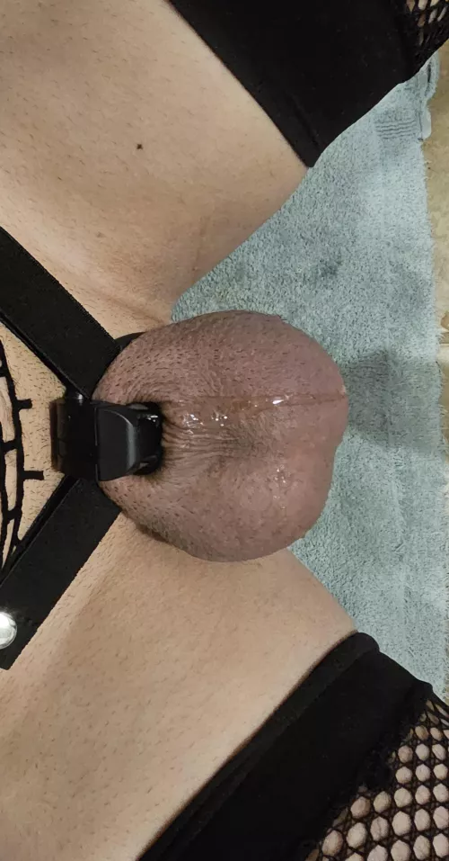 keeps getting smaller and smaller