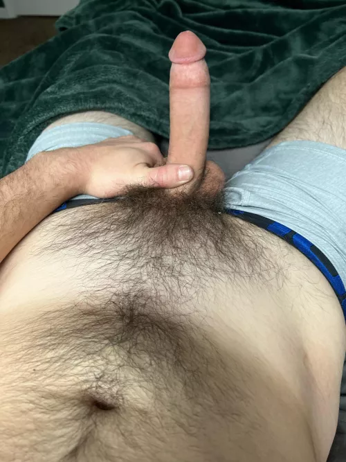 Lettin the forest grow