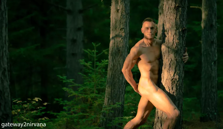 Not your typical tree hugger