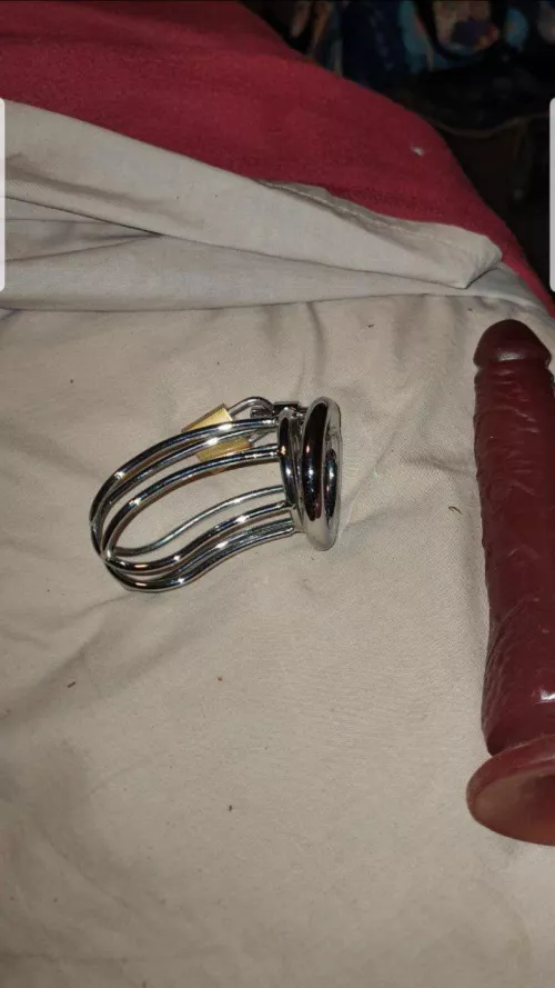 Arrows up if ytou are below 2-4-7 inches and say YES mommy for humiliate and dominate by chastity slut