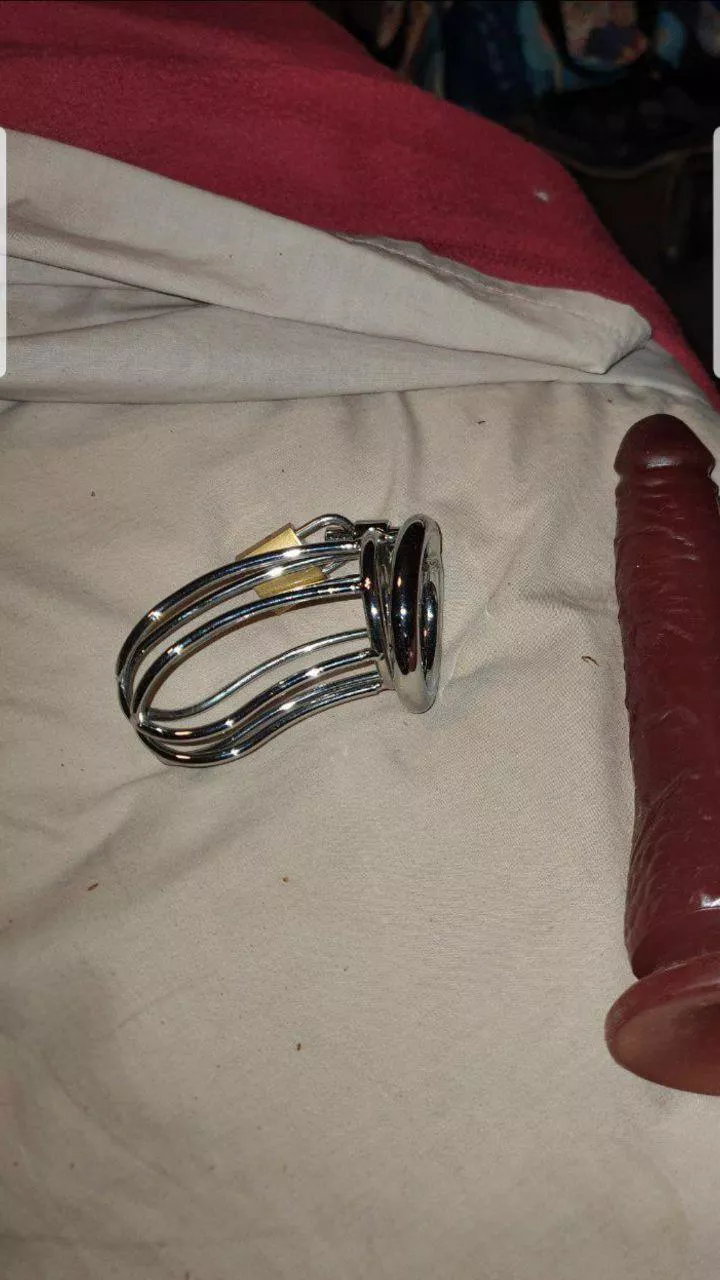 Arrows up if ytou are below 2-4-7 inches and say YES mommy for humiliate and dominate by chastity slut